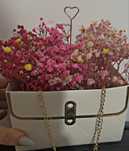 Buchete flori uscate