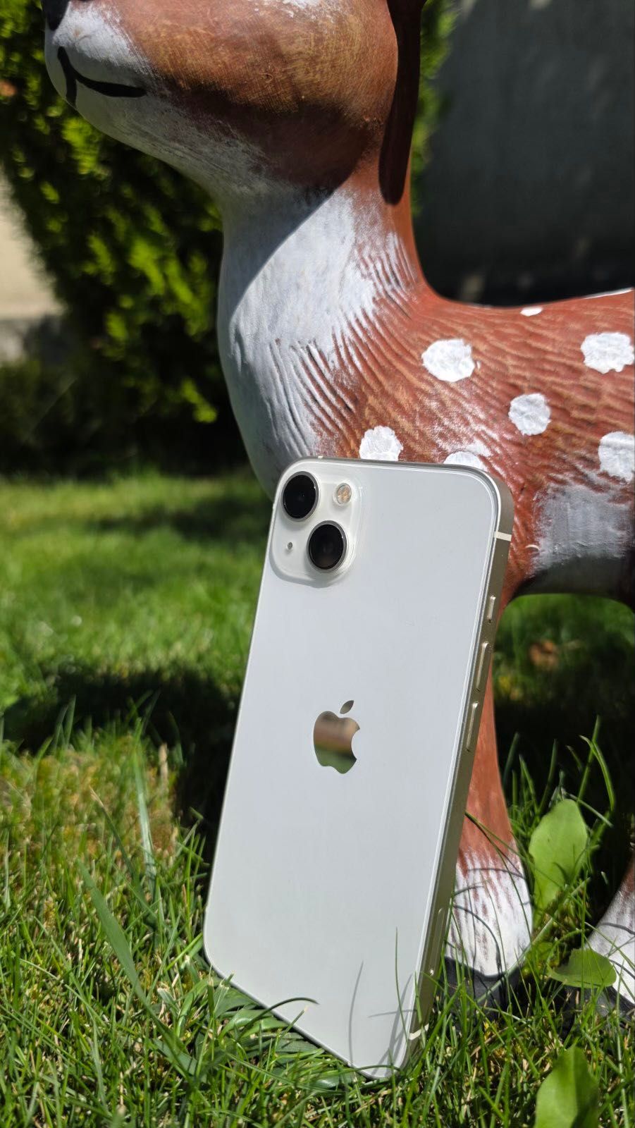 Iphone 13 (128 GB)