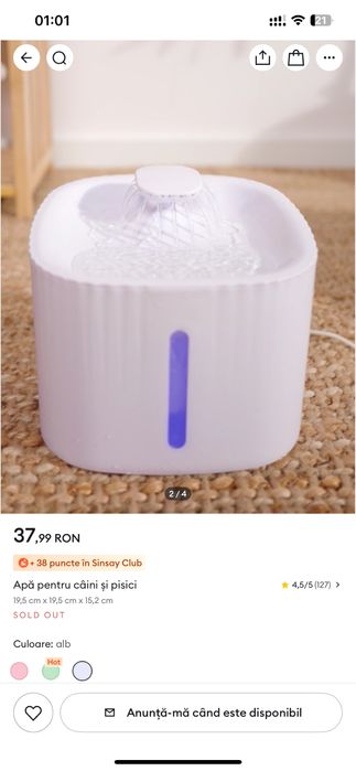 Fantana de baut pentru pisici