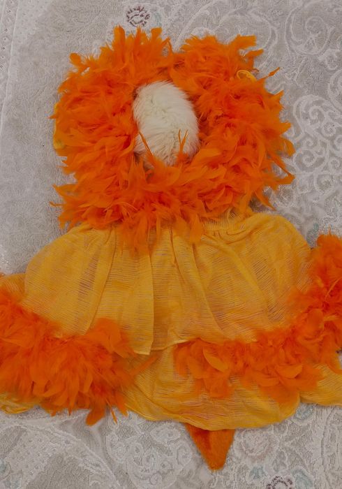 Жаңа жылдық киім сатылады