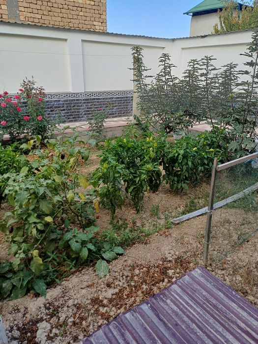 Продаю  дом в Бектемирском районе( ориентир- Фут-сити). 3.  8 сотокк