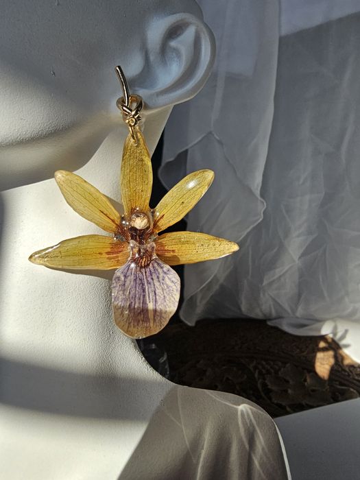 Обеци с естествен цвят на орхидея Камбрия.

Естествен цвят на орхидея