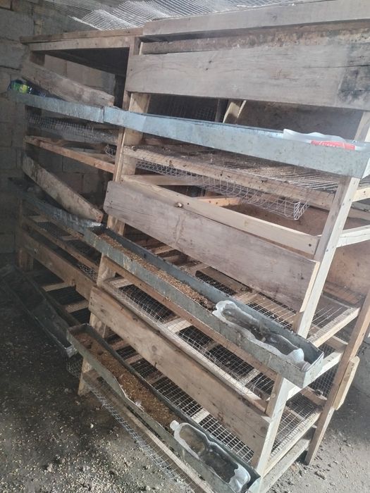 Клетка для кур несушки