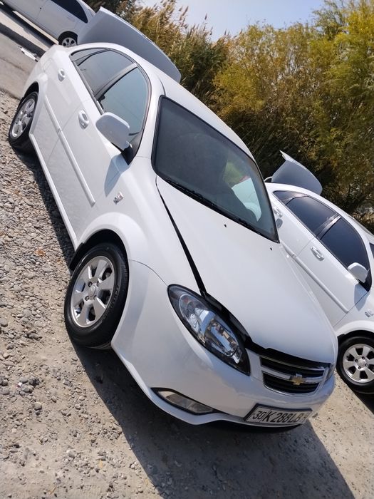 Жентра  2023 идеал