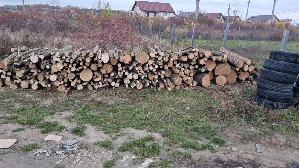 Lemne de foc Pitești Smeura