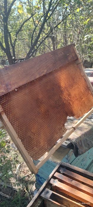 Vând rame hrănitoare clădite