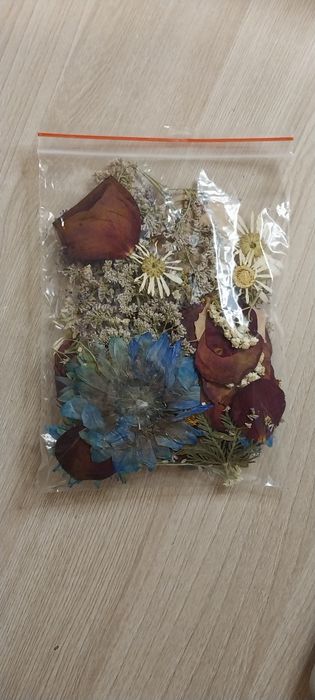 Гербарий/Сухоцветы/Высушенные цветы для рукоделия