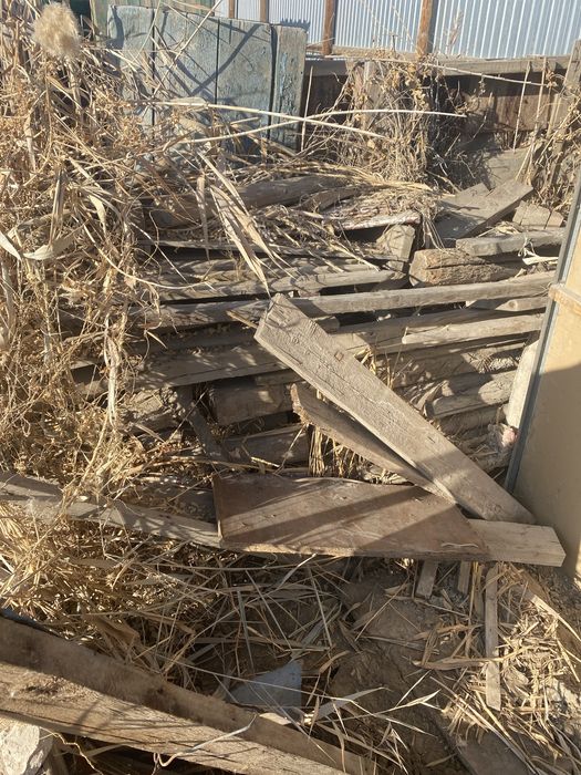 Агаш тегин берем араснда боренелер бар , отынга жаксы