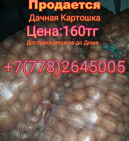 Продам дачную картошку в Топаре