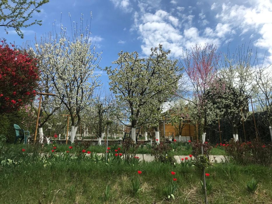 Vând casă cu grădină în Turda