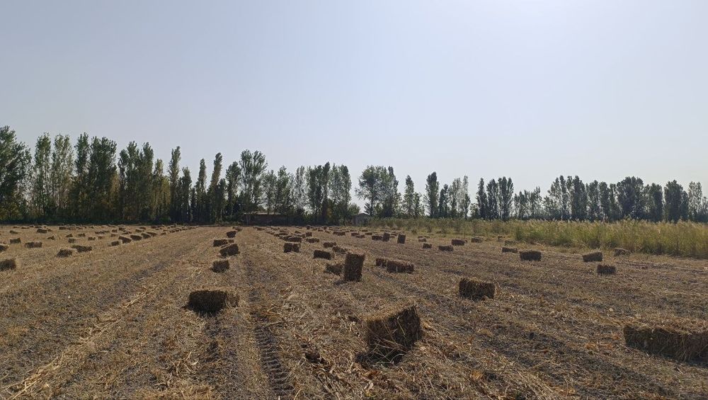 Пресс арзон 800та