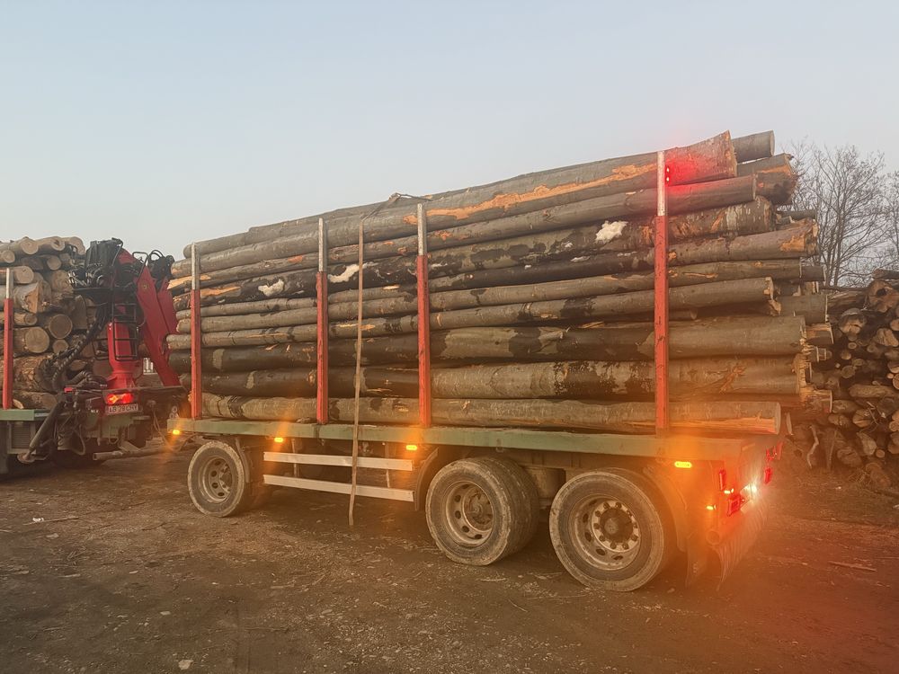 Vand lemn foc verde si uscat cu posibilitatea de transport