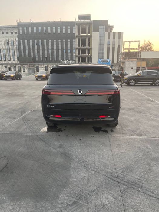 Denza N9 full pozitsia