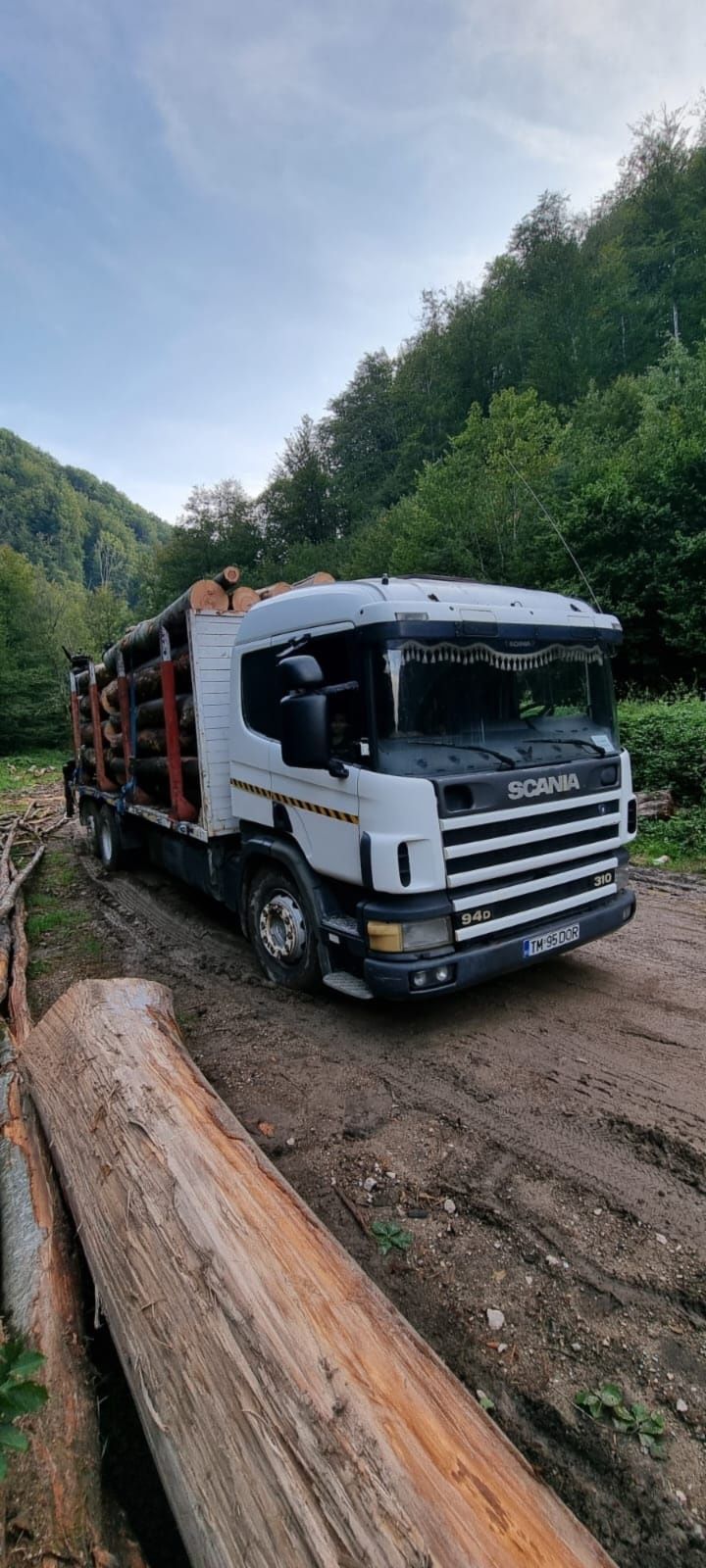 Camion forestier Scania 310