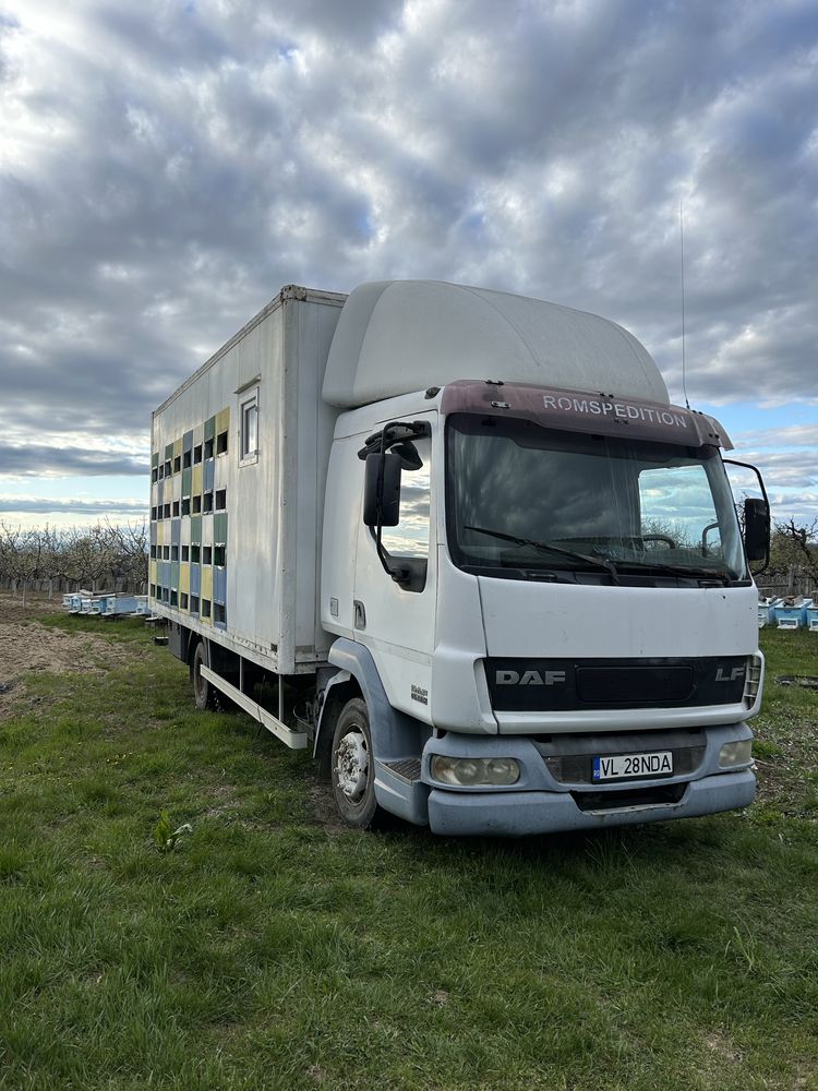 Vand camion Daf special (stupina)