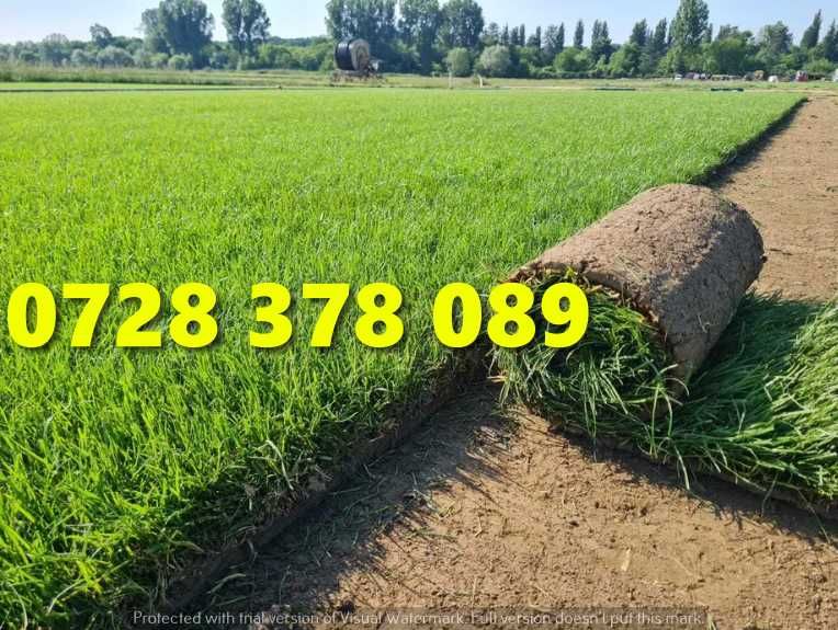 Rulouri de gazon plus Montaj !