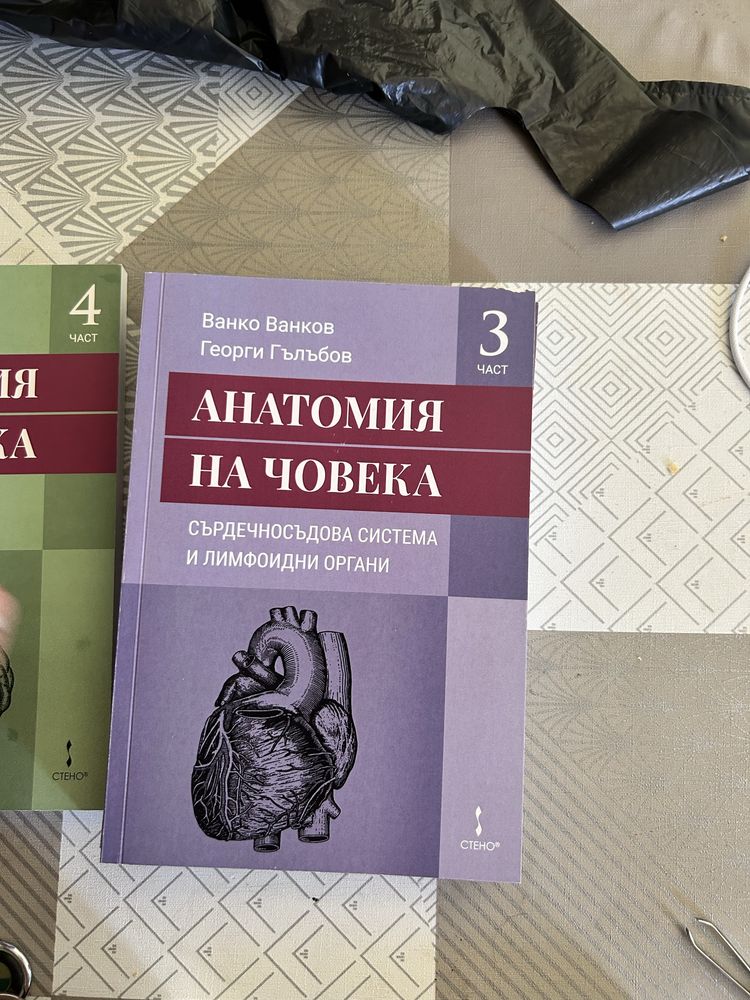 Анатомия на човека 4 части