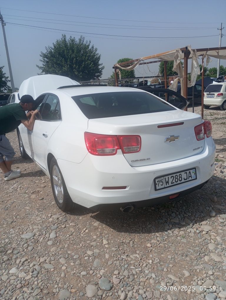 Malibu 1 idealnisi