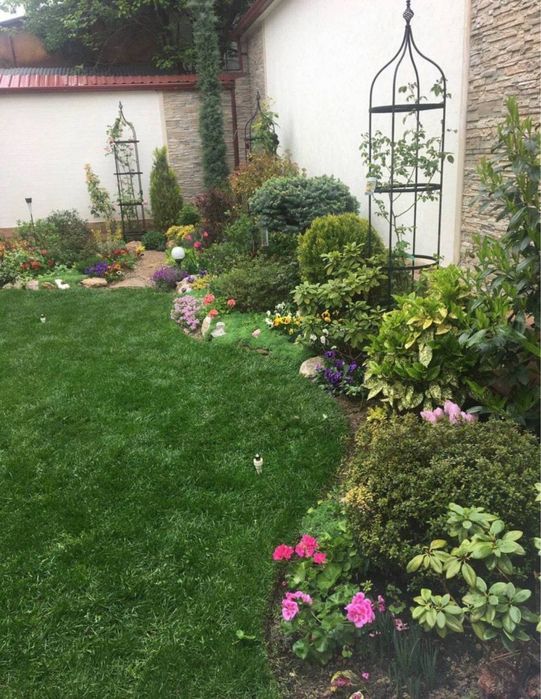 Газон екамиз уруґ ва таййор газон