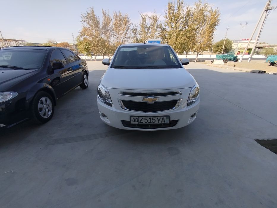 2024 kobilt metani bor