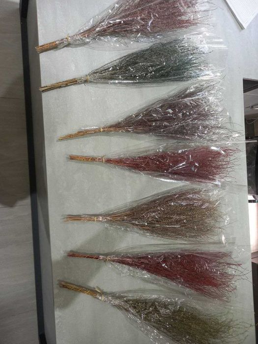 Стабилизированный мох и Растения