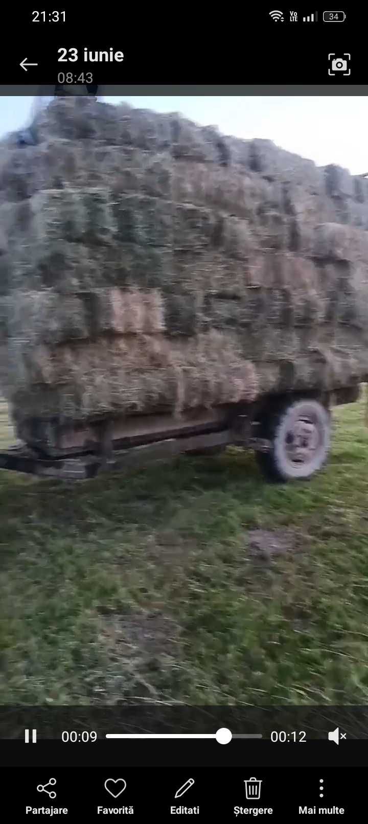 De vânzare baloți de fân bun