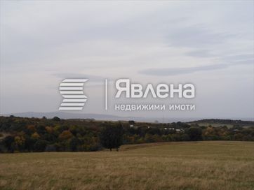 „Явлена” продава поземлен имот в местност „Иванови