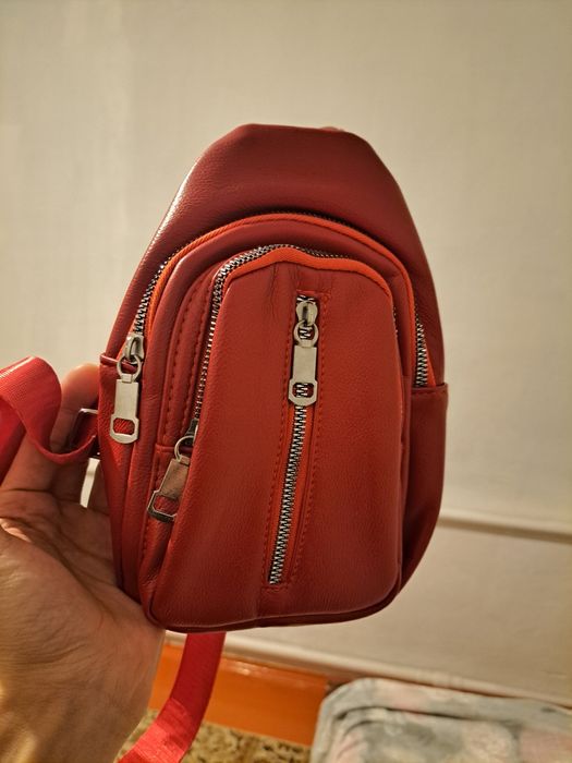 Барсетка красная