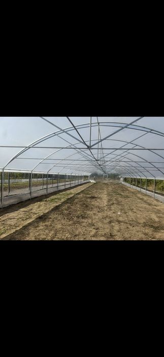 Sere si i Solarii Profesionale