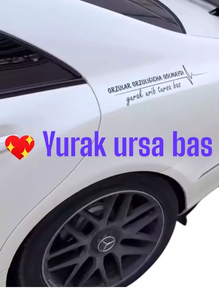 Yurak ursa bas 1 dona oq va qora rangda
99,000 so'm