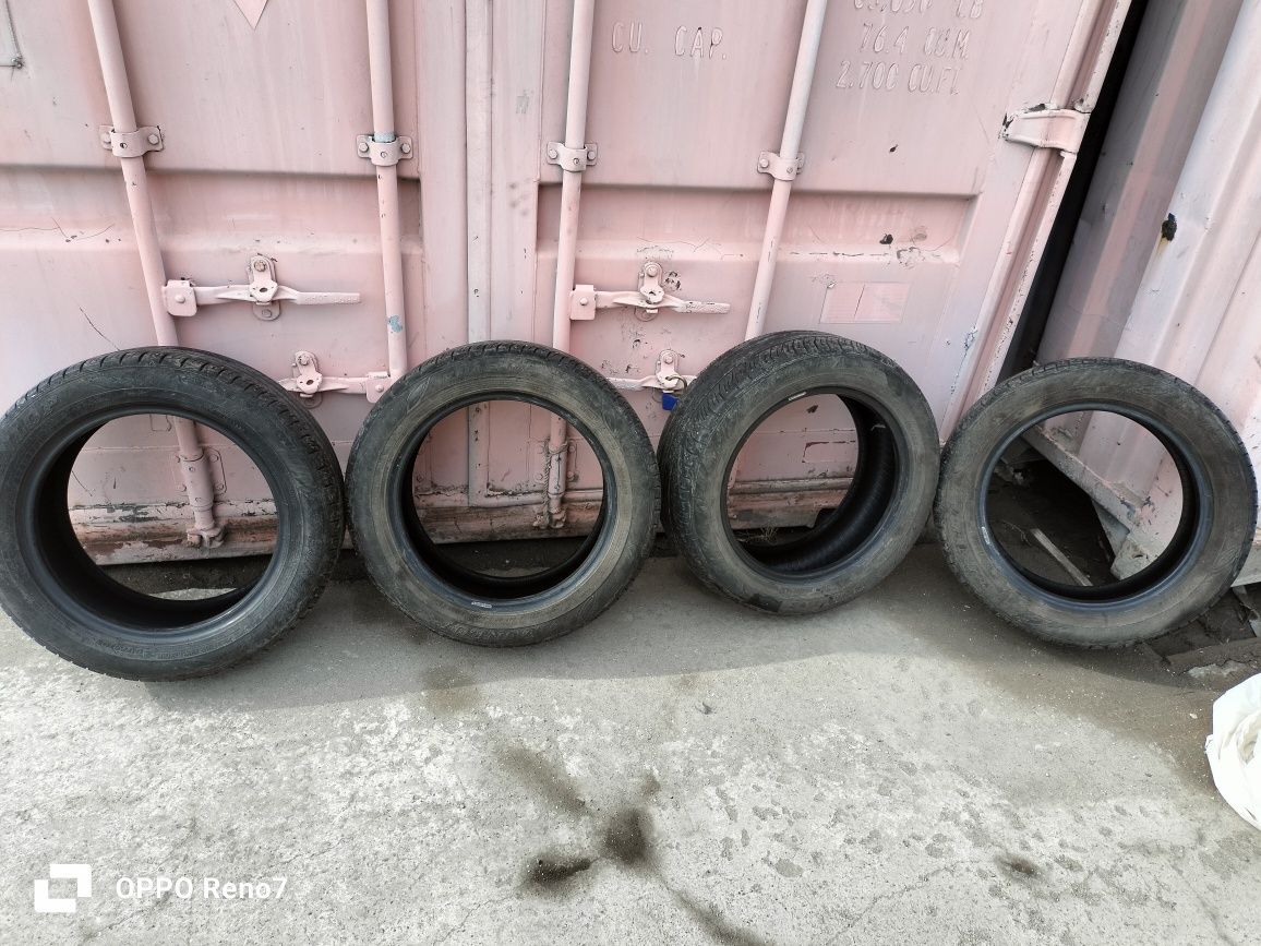 Шины летние Dunlop