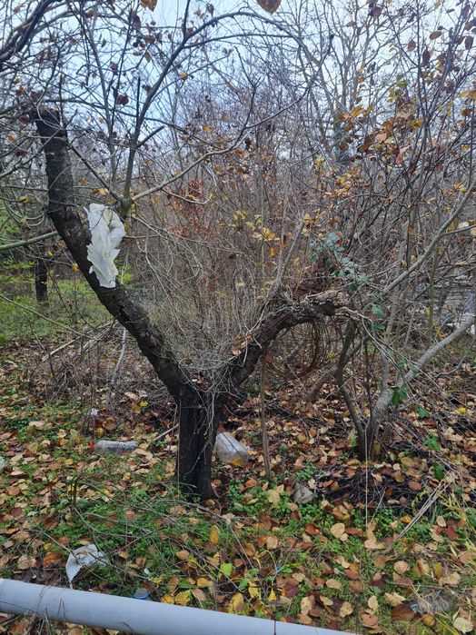 Парцел вилна зона с. Кичево