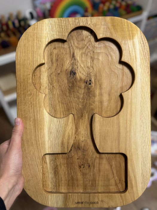 Placa educativa Copac Jurnal de joaca