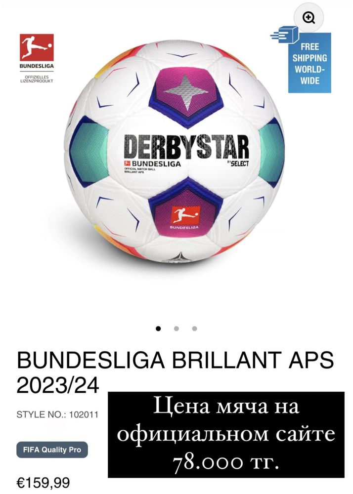 Професиональные футбольные мячи Немецкого чемпионата сезон 2023/2024.