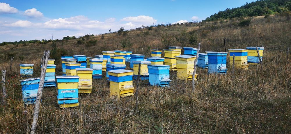 Продавам пчелни семейства