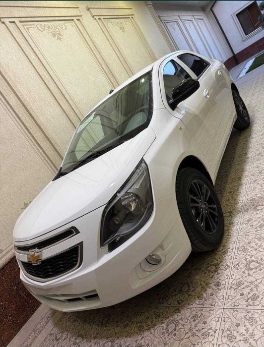 **Cobalt midnight MSM 2026 new