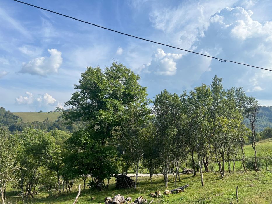 Vând teren și casă veche, în Munții Apuseni, Poiana Sohodol, Jud. Alba