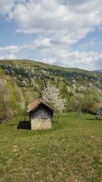 Teren la munte Valea Doftanei Prahova