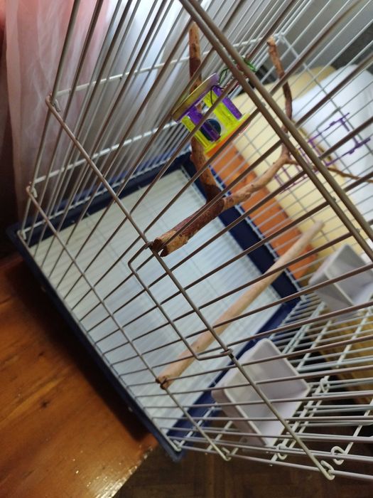 Colivie Micul Alexandru 44cm lungime si latime, 64cm inaltime