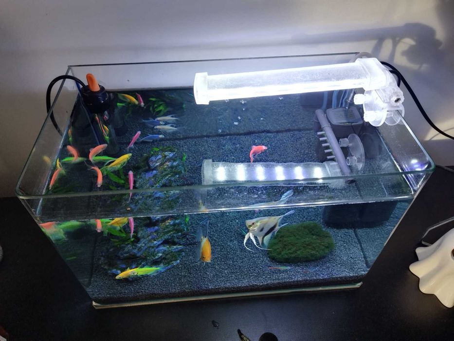 Acvariu 20 litri