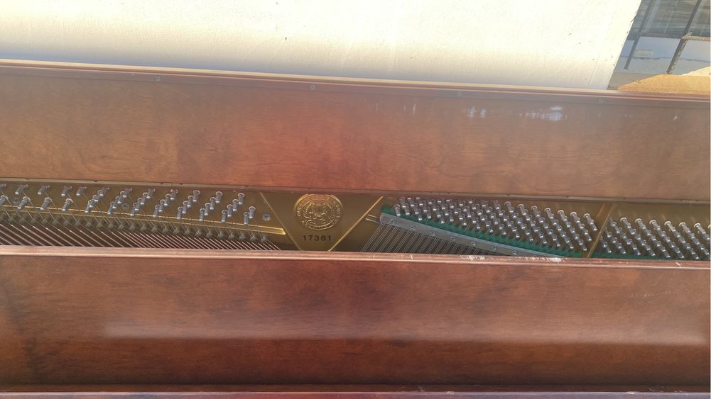 Pianina Tokai - Made in Japan