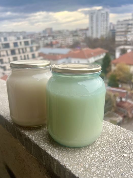 Домашна свинска мас