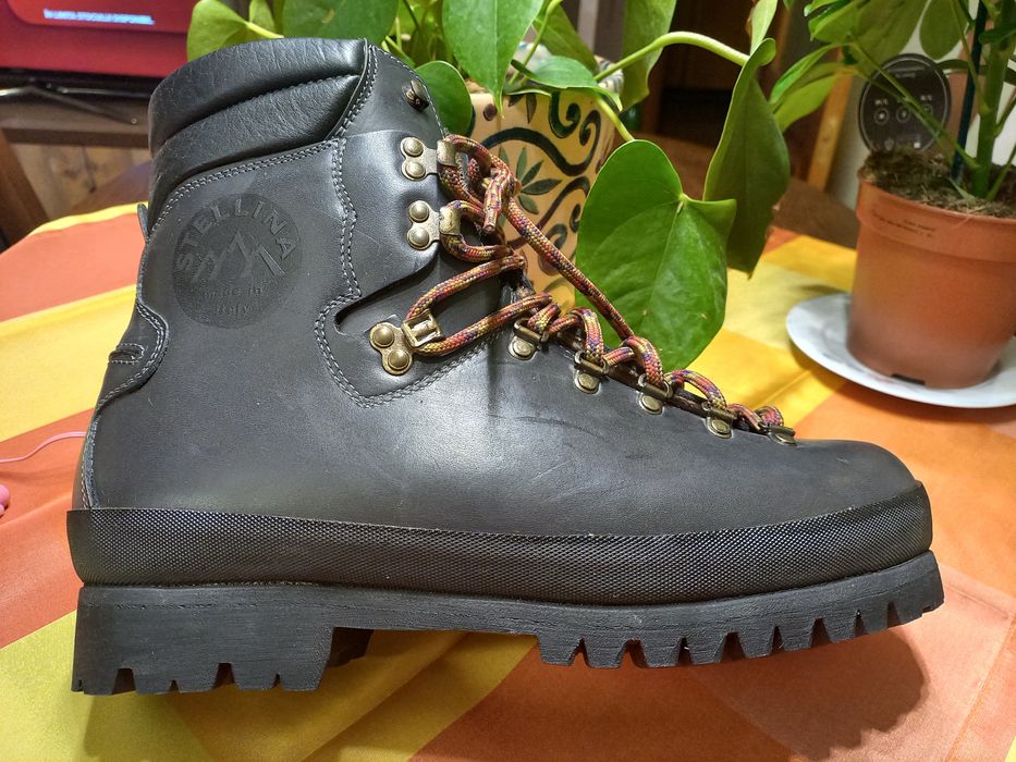 Bocanci munte Stellina