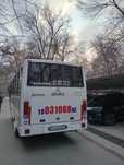 Buyurtma avtobus