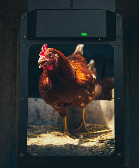 Автоматична алуминиева врата за кокошарник DOO-2 #379