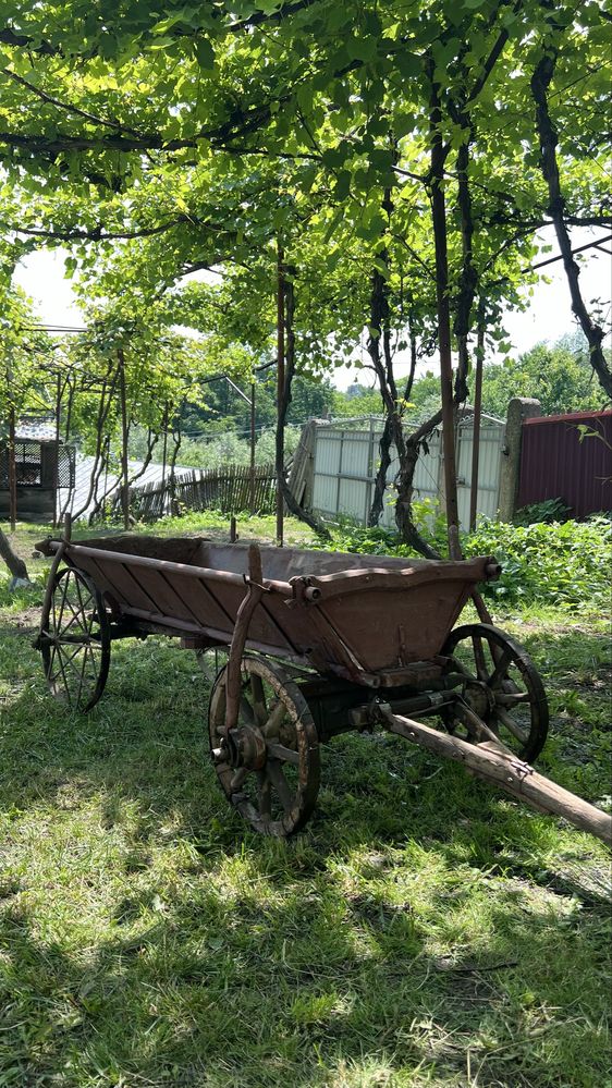 Car de lemn foarte vechi - rustic