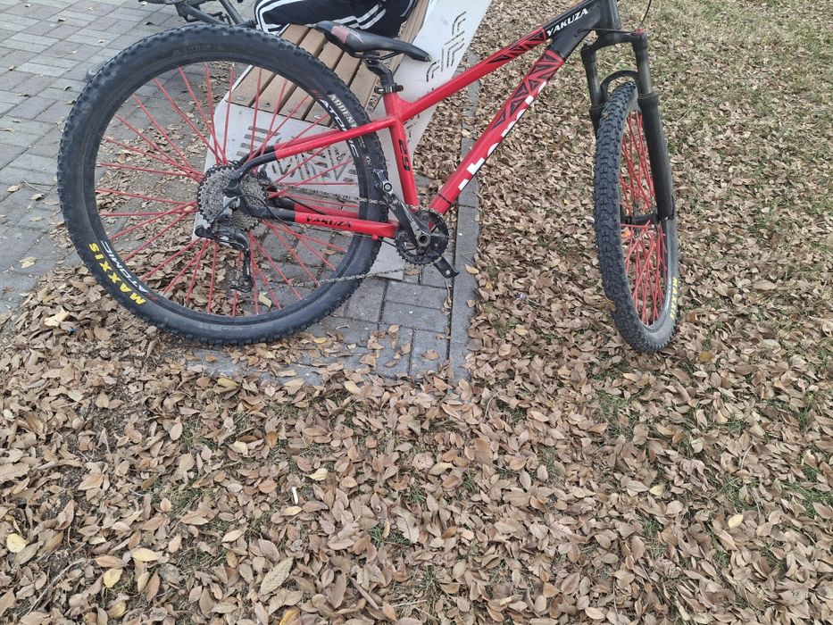 Продам 2 покрышки maxxis срочно!