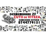 ZF Piese cutii de viteze si diferentiale camioane din DEZMEMBRARI - ZF CEI EURORICAMBI : sincron pinion frana ax tren fix mobil