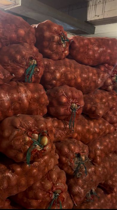 Сухой лук со склада