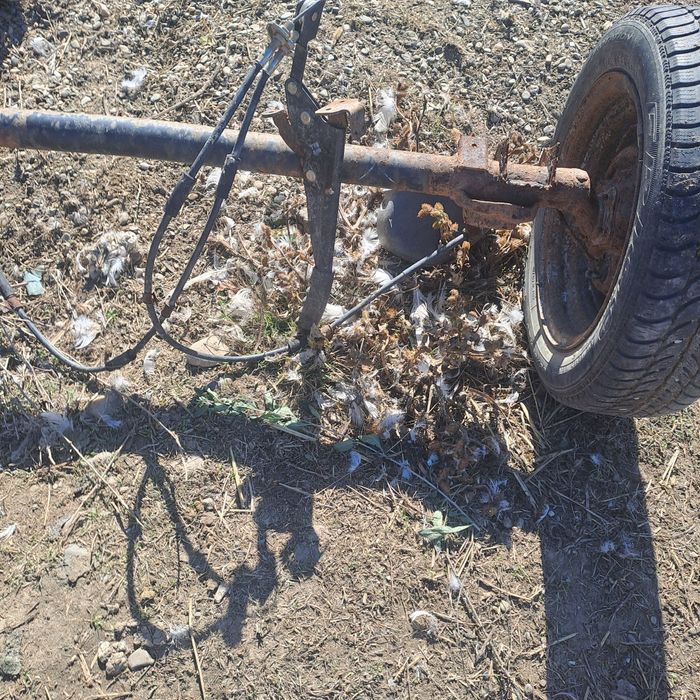 Vand punte matiz pentru remorcuța